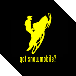 GOT SNOWMOBILE? - Vinyl Decal/Sticker - BRAPSports.com - Stickers & Decals